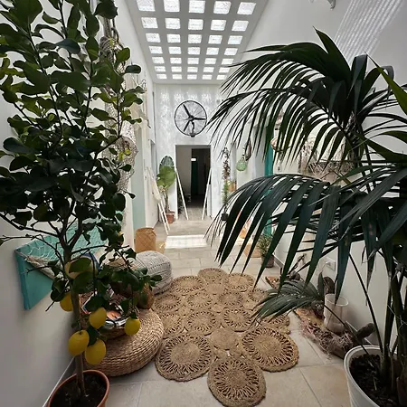 Molly's * 奥特朗托