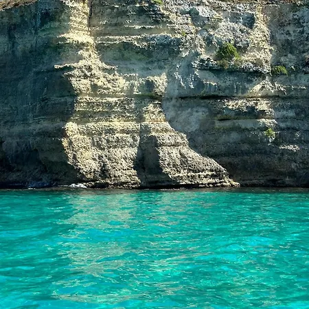 Molly's Apartamento *